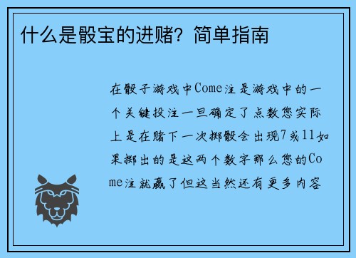 什么是骰宝的进赌？简单指南 