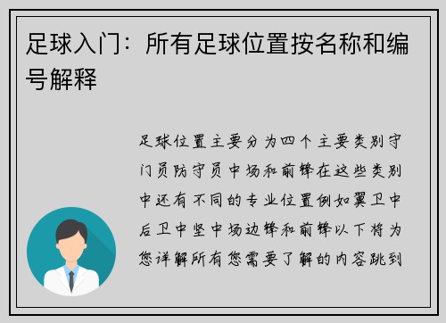 足球入门：所有足球位置按名称和编号解释